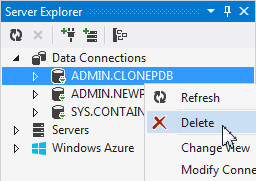 Unplugging the Cloned Database