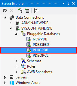 Plugging in the Pluggable Database