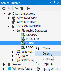 Opening the Pluggable Database