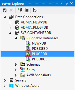 Opening the Pluggable Database