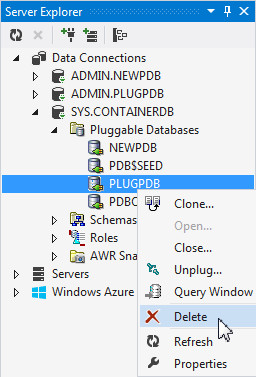 Deleting the Pluggable Database