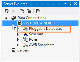 Using Multitenant Container Databases in Visual Studio