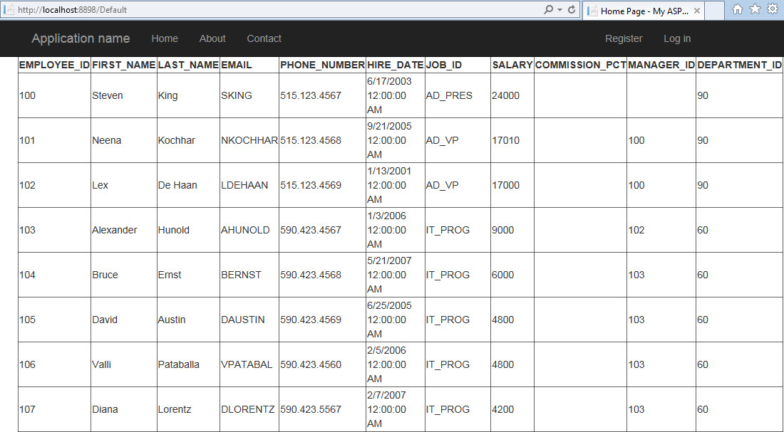 Executing your Web Site