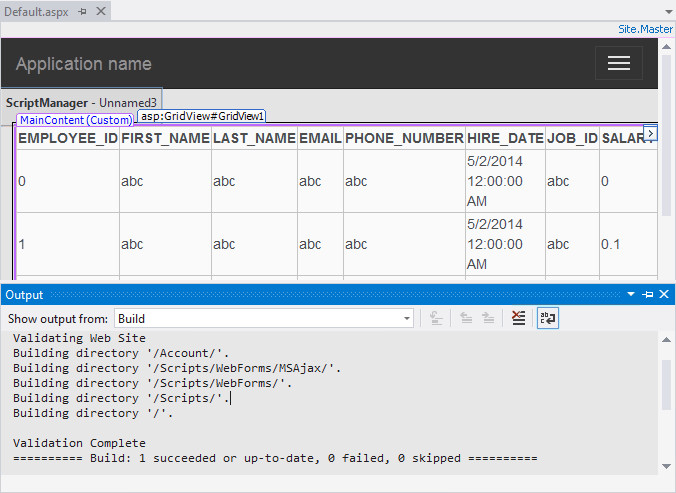 Executing your Web Site