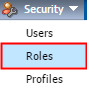Security menu