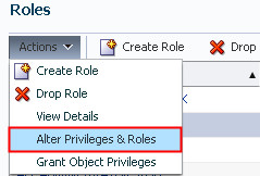 Actions menu in Roles page