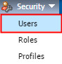 Security menu