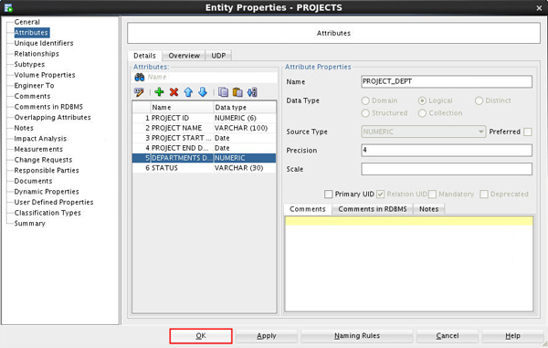 Entity Properties - PROJECTS: Attributes tab