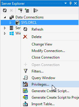 Setting Up Your Environment