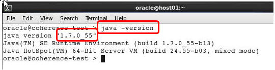 java -version