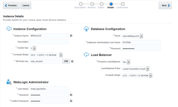 Instance Details (full)