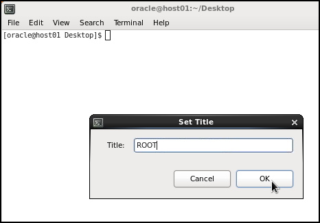 Creating the Oracle Database Release 12c (12.1.0.1.0) Instance for Data ...