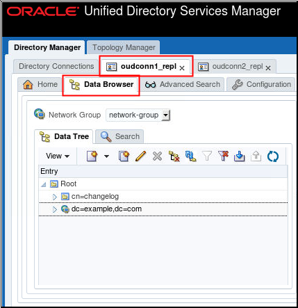 Oracle Directory Services Manager login page