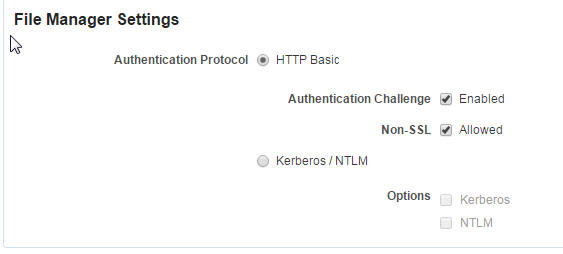 Basic Authentication