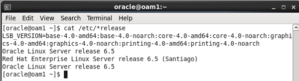 alt description here