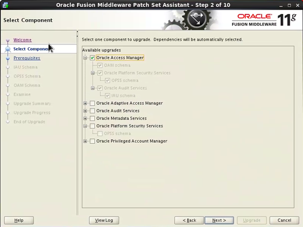 alt description here
