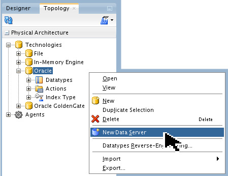 Topology Oracle New Data Server