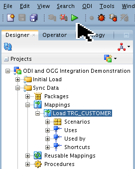 Mappings Load TRG_CUSTOMER screen