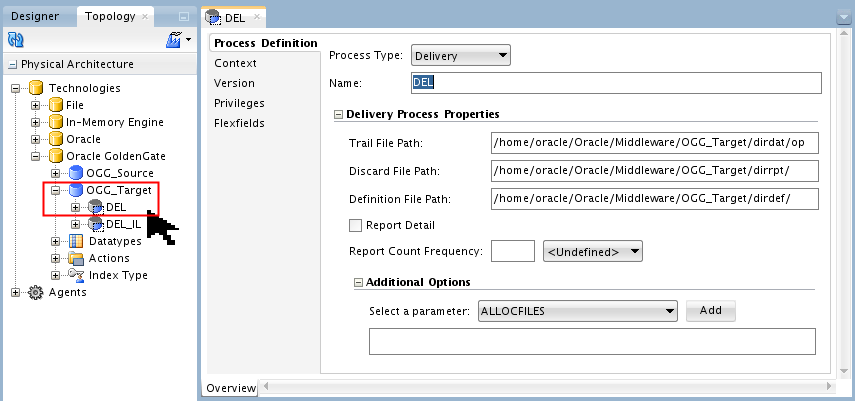 Delivery Process Definition screen