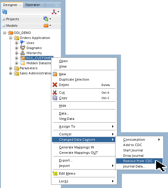 Datastore Remove CDC