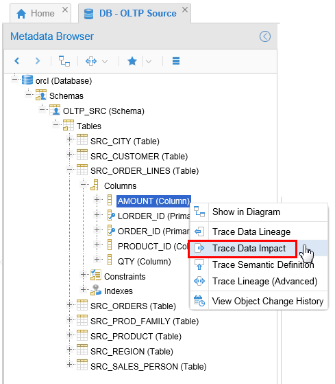 OLTP_SRC.SRC_ORDER_LINES columns