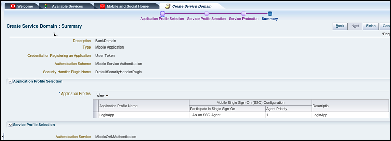 Service Domain Summary