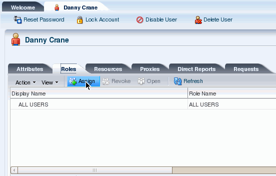 Create a Custom Approval Process for Role Assignment