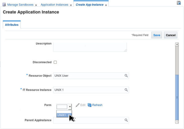Creating Application Instance - Step 9