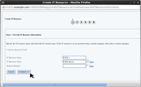 Creating an IT Resource - Step 5