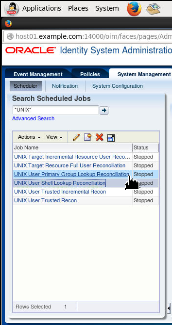 Creating Lookup IT Resource - Step 9