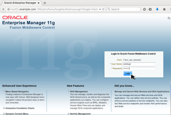 Setting-up an Oracle Identity Manager 11gR2 PS3 environment
