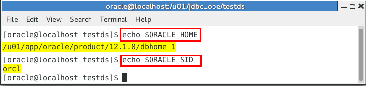 Environment Variables Verification.