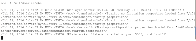 Start Node Manager