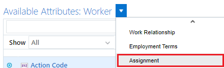 Display the Assignment attributes