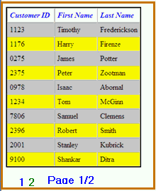 Data Table with Pagination