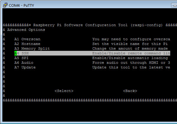 Raspberry Configuration Screen
