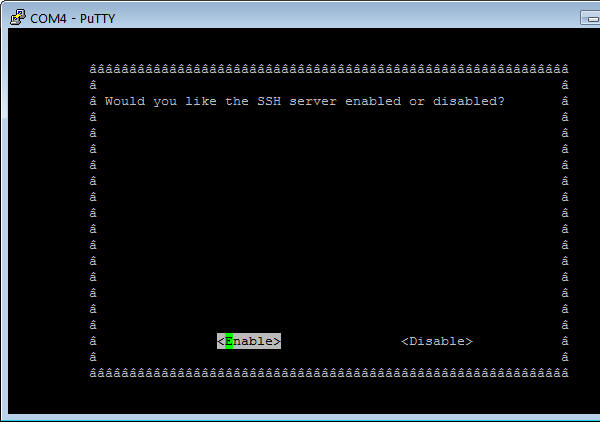 Raspberry Configuration Screen