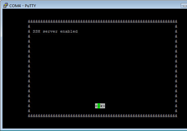 Raspberry Configuration Screen