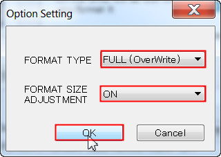 The screenshot shows the Format Type and Format Size Adjustment to be selected