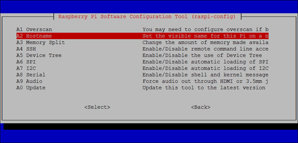 Selecting Hostname option under Advanced Options