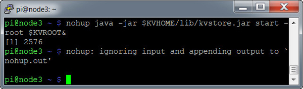 Starting the SNA on node3