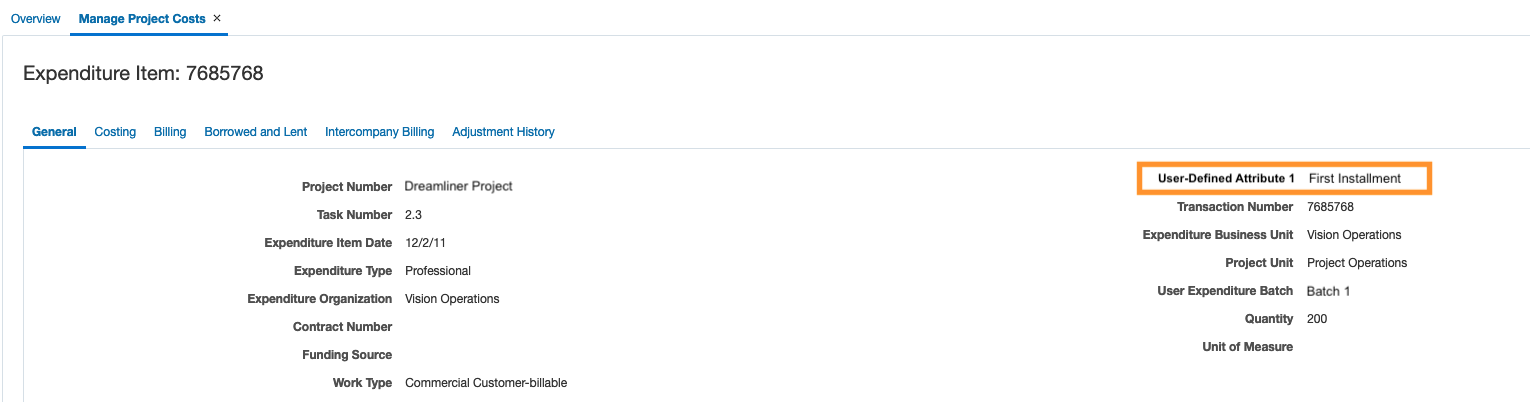 User-Defined Attribute on the Expenditure Item Details Page
