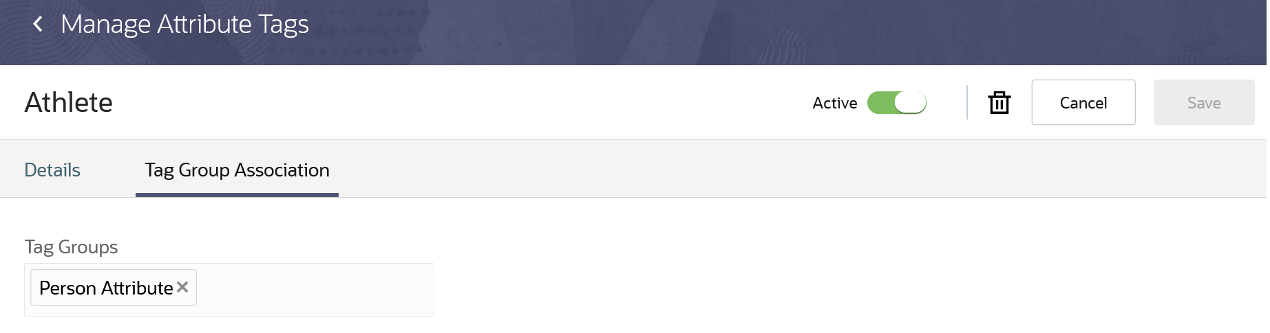 Associating the athlete tag with the person attribute tag group.