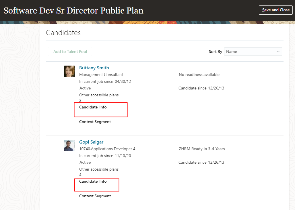 The image shows flexfields in the Candidates section of the Software Development Senior Director Public Plan.