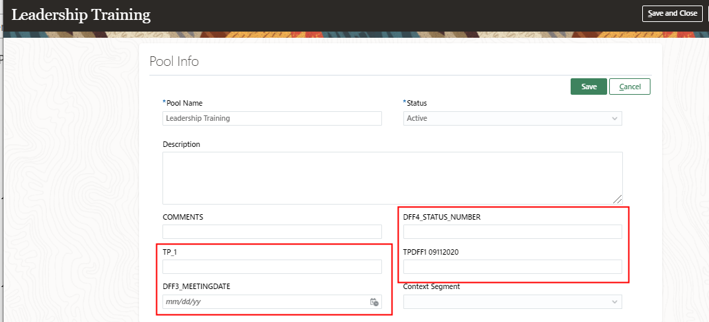 The image shows some flexfields in the Pool Info section of the Leadership Training talent pool.