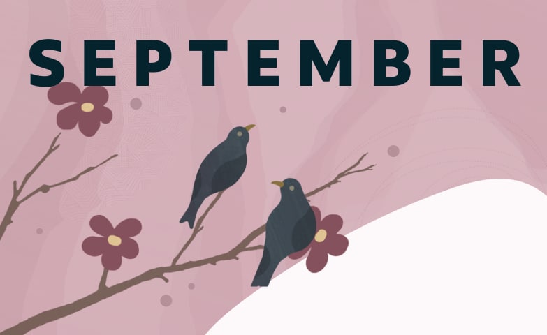 Thumbnail image for APEX Community Newsletter September 2026